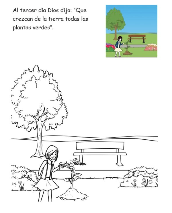 Libro para colorear que aborda la historia de la creación. - Image 3